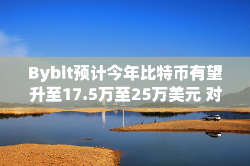 Bybit预计今年比特币有望升至17.5万至25万美元 对行业的未来充满信心