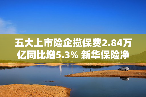 五大上市险企揽保费2.84万亿同比增5.3% 新华保险净利或暴增195%