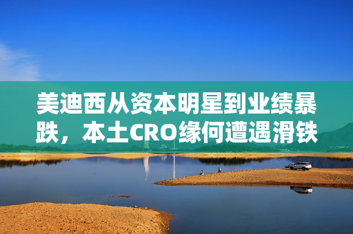 美迪西从资本明星到业绩暴跌，本土CRO缘何遭遇滑铁卢？