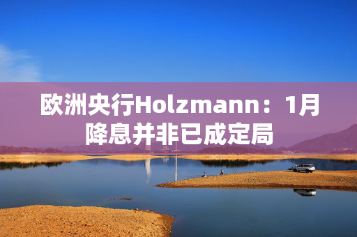 欧洲央行Holzmann：1月降息并非已成定局