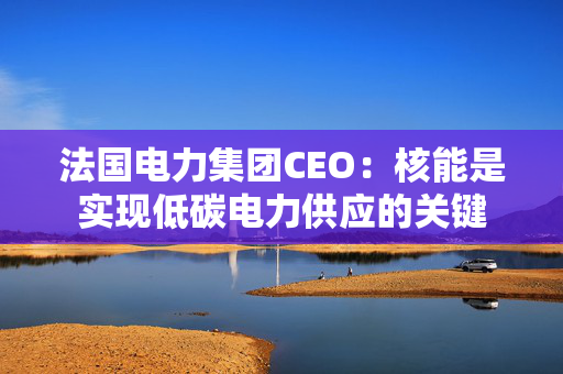 法国电力集团CEO：核能是实现低碳电力供应的关键