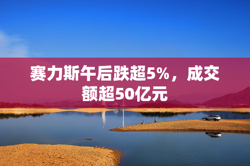 赛力斯午后跌超5%，成交额超50亿元