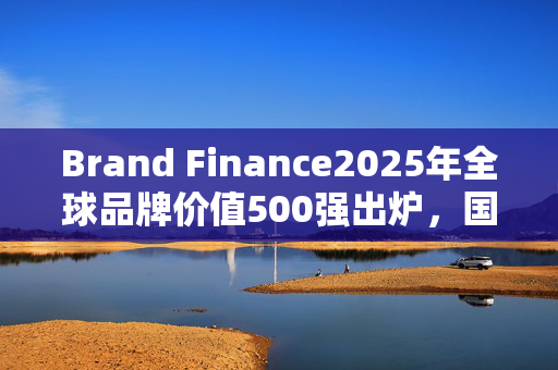 Brand Finance2025年全球品牌价值500强出炉，国泰人寿保险位列487位