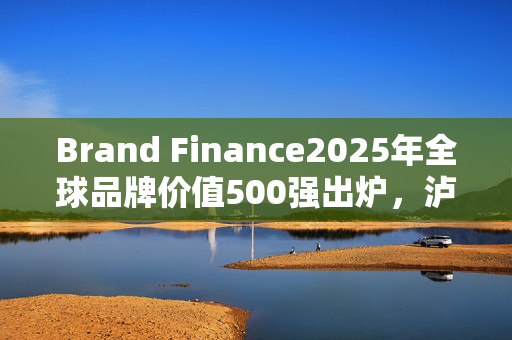 Brand Finance2025年全球品牌价值500强出炉，泸州老窖排名下跌129位