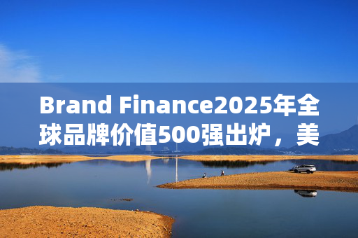 Brand Finance2025年全球品牌价值500强出炉，美的集团排名下降25位