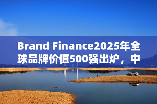 Brand Finance2025年全球品牌价值500强出炉，中国电力排名下降73位