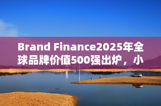 Brand Finance2025年全球品牌价值500强出炉，小米集团排名上升34位