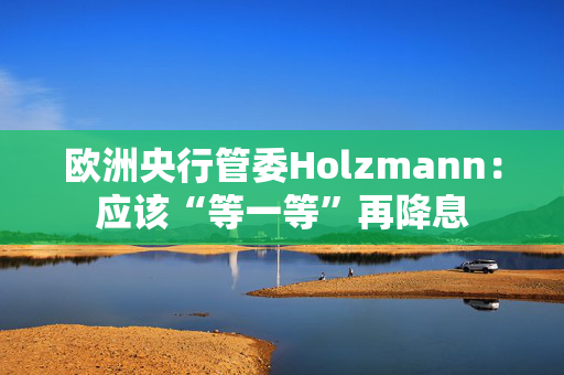 欧洲央行管委Holzmann：应该“等一等”再降息