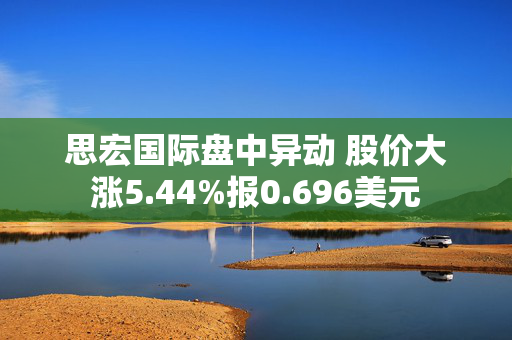 思宏国际盘中异动 股价大涨5.44%报0.696美元