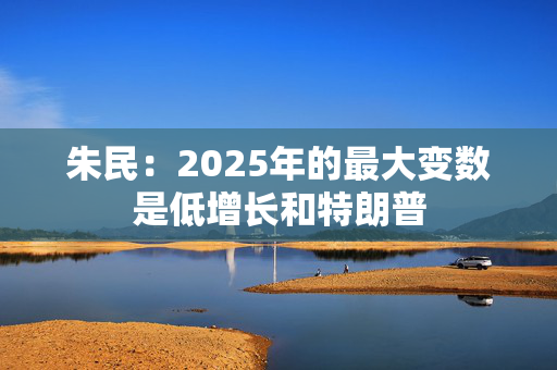 朱民：2025年的最大变数是低增长和特朗普