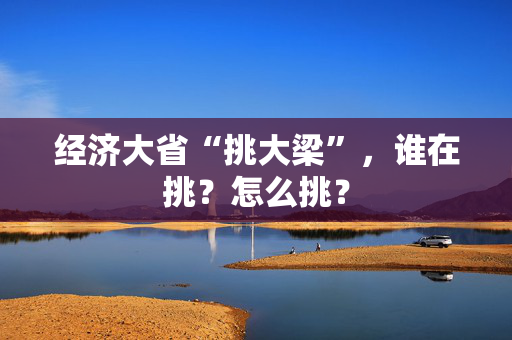 经济大省“挑大梁”，谁在挑？怎么挑？