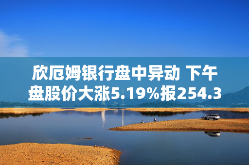 欣厄姆银行盘中异动 下午盘股价大涨5.19%报254.35美元