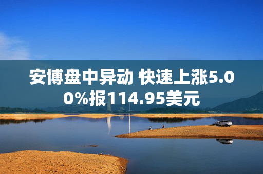 安博盘中异动 快速上涨5.00%报114.95美元