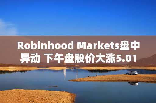 Robinhood Markets盘中异动 下午盘股价大涨5.01%报50.56美元