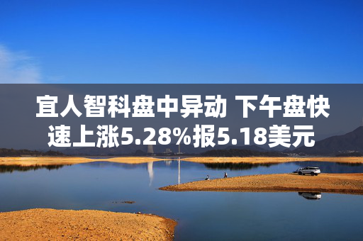 宜人智科盘中异动 下午盘快速上涨5.28%报5.18美元