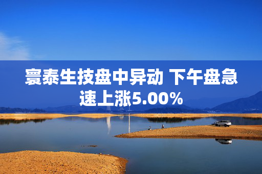 寰泰生技盘中异动 下午盘急速上涨5.00%