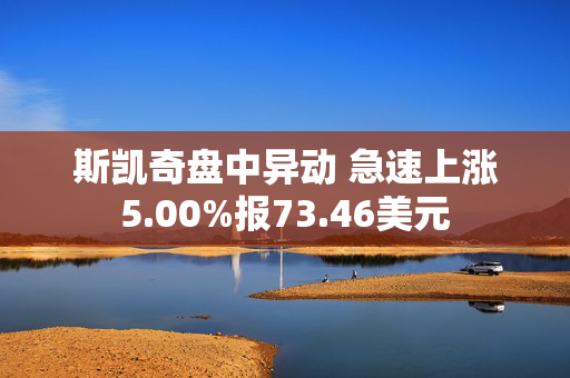 斯凯奇盘中异动 急速上涨5.00%报73.46美元