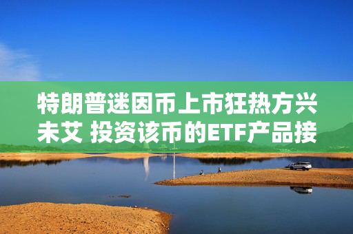 特朗普迷因币上市狂热方兴未艾 投资该币的ETF产品接踵而至