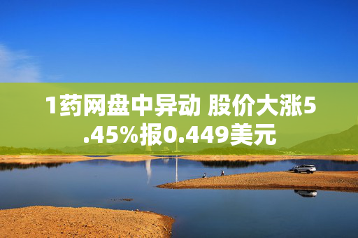 1药网盘中异动 股价大涨5.45%报0.449美元