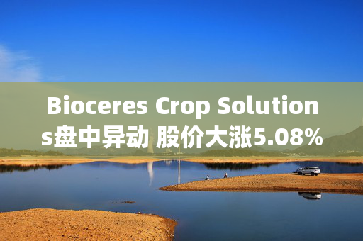 Bioceres Crop Solutions盘中异动 股价大涨5.08%报7.24美元