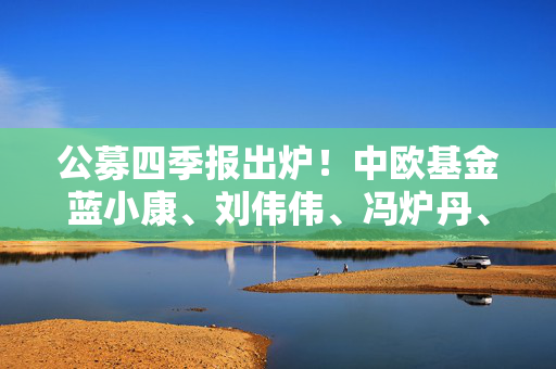 公募四季报出炉！中欧基金蓝小康、刘伟伟、冯炉丹、钱亚婷操作及观点来了