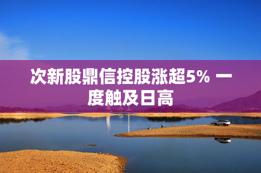 次新股鼎信控股涨超5% 一度触及日高