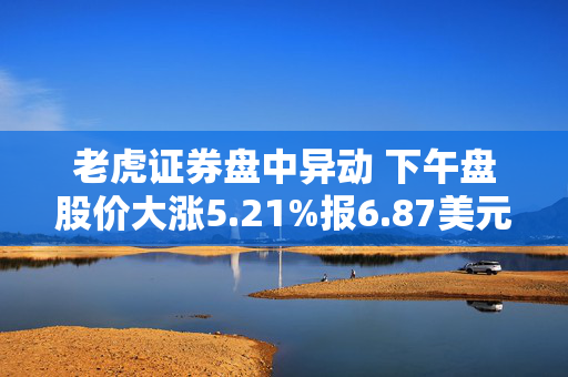 老虎证券盘中异动 下午盘股价大涨5.21%报6.87美元