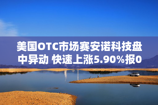 美国OTC市场赛安诺科技盘中异动 快速上涨5.90%报0.360美元