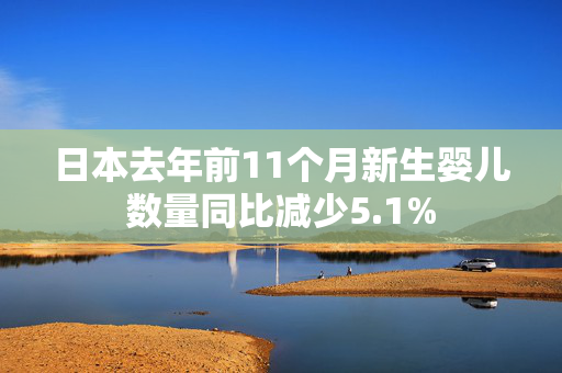 日本去年前11个月新生婴儿数量同比减少5.1%