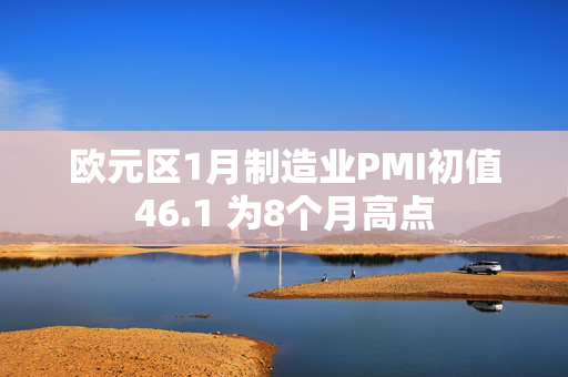 欧元区1月制造业PMI初值46.1 为8个月高点