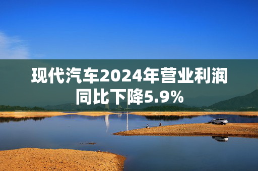 现代汽车2024年营业利润同比下降5.9%