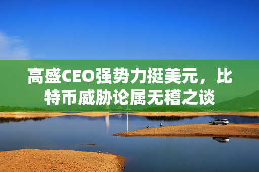 高盛CEO强势力挺美元，比特币威胁论属无稽之谈