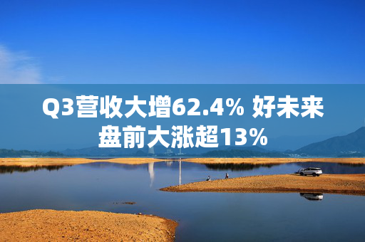 Q3营收大增62.4% 好未来盘前大涨超13%