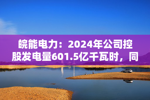 皖能电力：2024年公司控股发电量601.5亿千瓦时，同比增速17.4%