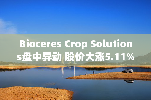 Bioceres Crop Solutions盘中异动 股价大涨5.11%