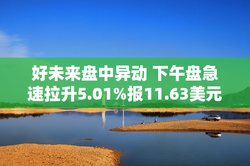 好未来盘中异动 下午盘急速拉升5.01%报11.63美元