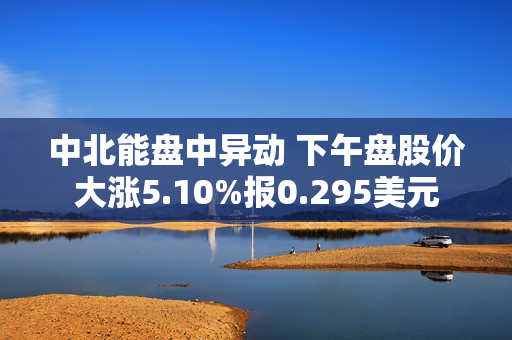 中北能盘中异动 下午盘股价大涨5.10%报0.295美元