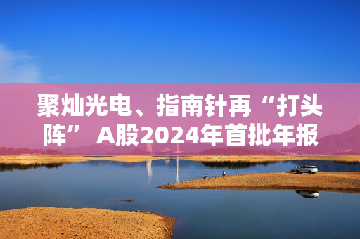 聚灿光电、指南针再“打头阵” A股2024年首批年报亮相