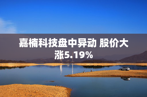 嘉楠科技盘中异动 股价大涨5.19%