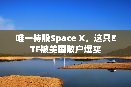 唯一持股Space X，这只ETF被美国散户爆买