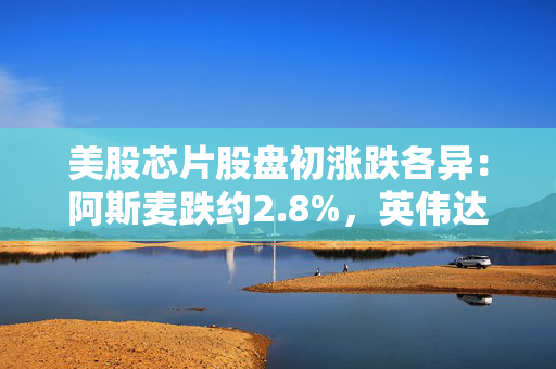 美股芯片股盘初涨跌各异：阿斯麦跌约2.8%，英伟达涨0.5%