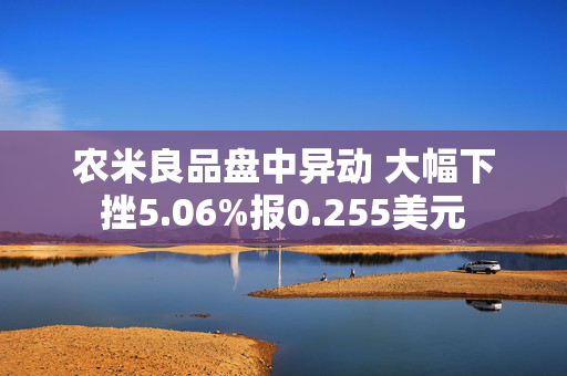 农米良品盘中异动 大幅下挫5.06%报0.255美元