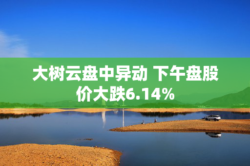 大树云盘中异动 下午盘股价大跌6.14%