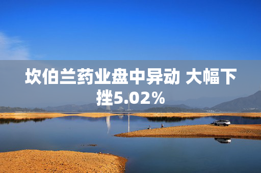 坎伯兰药业盘中异动 大幅下挫5.02%