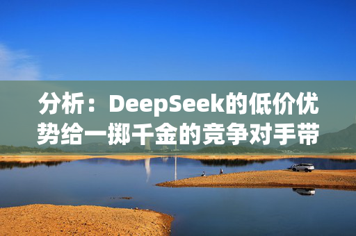 分析：DeepSeek的低价优势给一掷千金的竞争对手带来压力