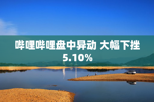 哔哩哔哩盘中异动 大幅下挫5.10%