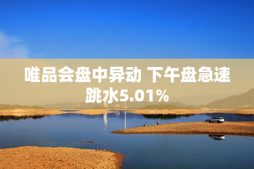 唯品会盘中异动 下午盘急速跳水5.01%