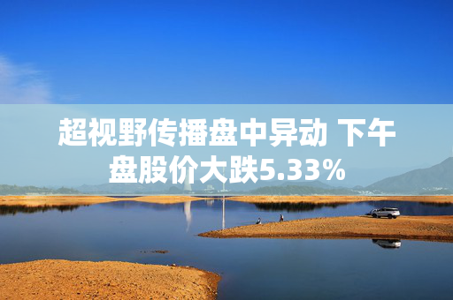 超视野传播盘中异动 下午盘股价大跌5.33%