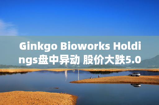 Ginkgo Bioworks Holdings盘中异动 股价大跌5.00%报13.22美元