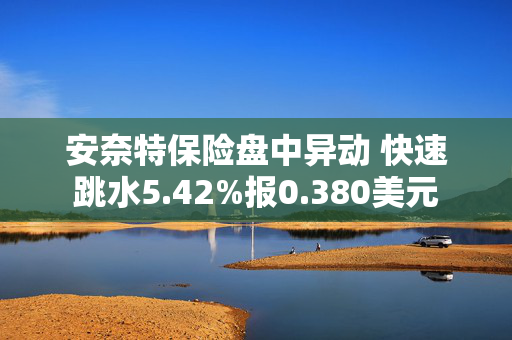 安奈特保险盘中异动 快速跳水5.42%报0.380美元